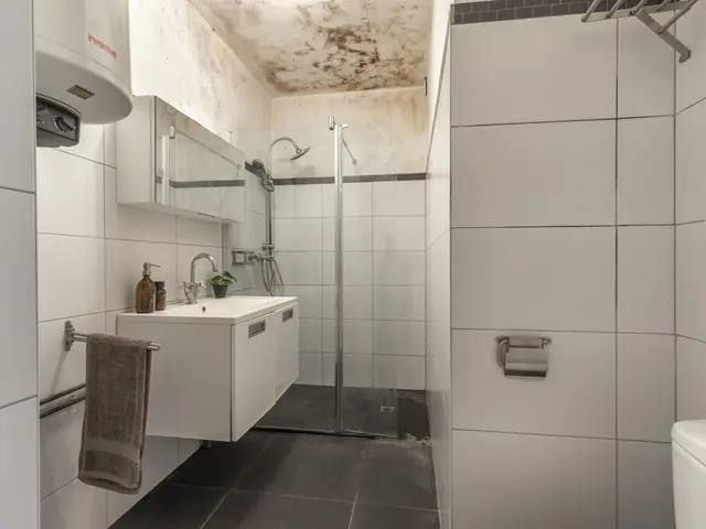 Korte Cieweg 16, CASTRICUM