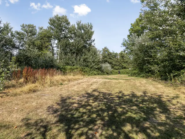 Boukeveld 3, KOOG AAN DE ZAAN