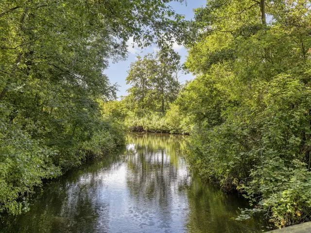 Boukeveld 3, KOOG AAN DE ZAAN
