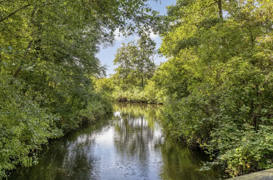 Boukeveld 3