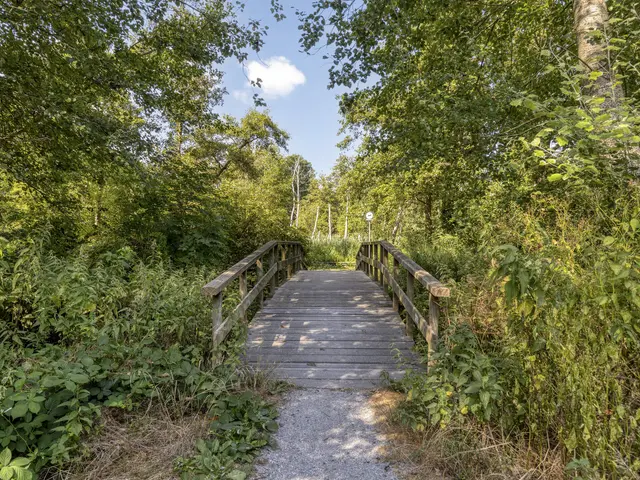 Boukeveld 3, KOOG AAN DE ZAAN