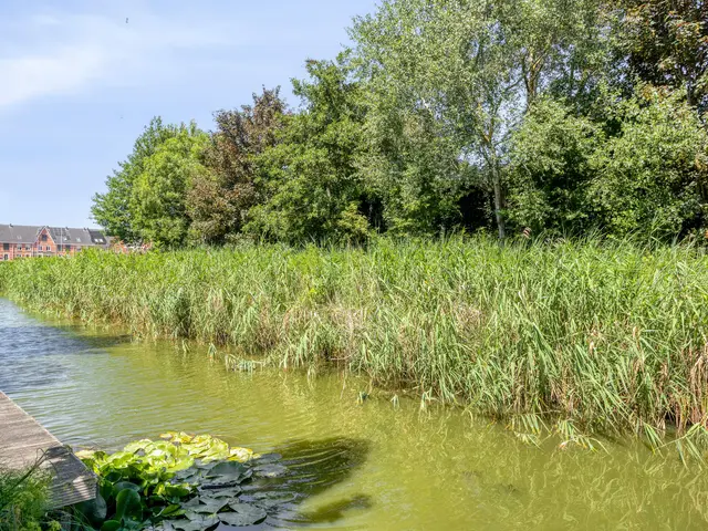 Beyaertlaan 23, HEEMSKERK