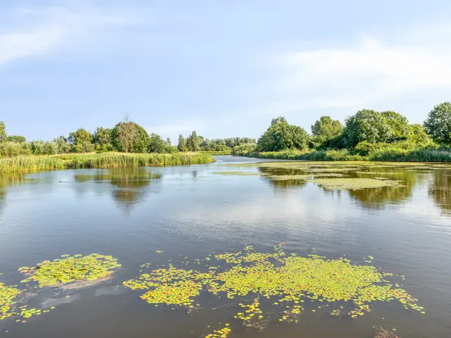 Beyaertlaan 23, HEEMSKERK
