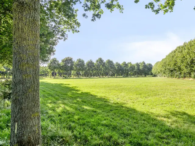 Beyaertlaan 23, HEEMSKERK
