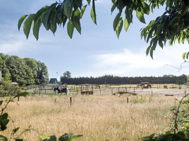 Meeuwenlaan 12, EGMOND-BINNEN