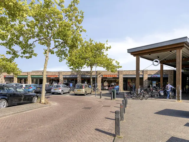 Molenweide 49, CASTRICUM