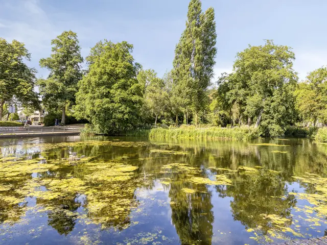 Molenweide 49, CASTRICUM