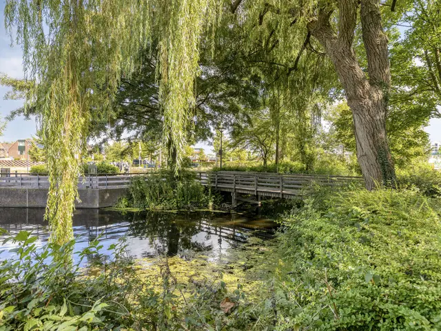 Molenweide 49, CASTRICUM