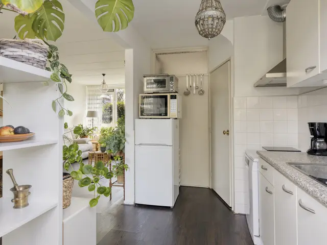 Rijnstraat 40, HEEMSKERK