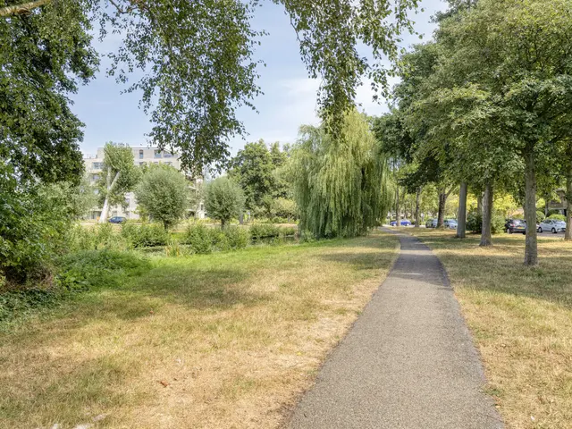 Rijnstraat 40, HEEMSKERK
