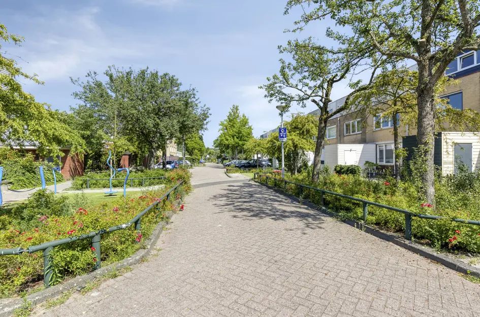 Dwergvinvisstraat 86