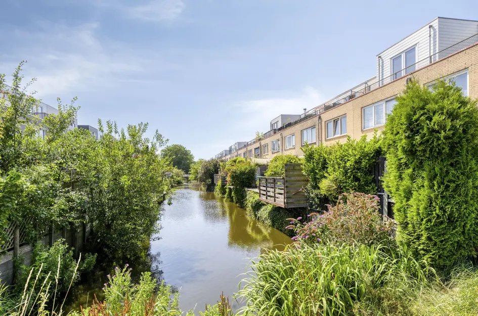 Dwergvinvisstraat 86