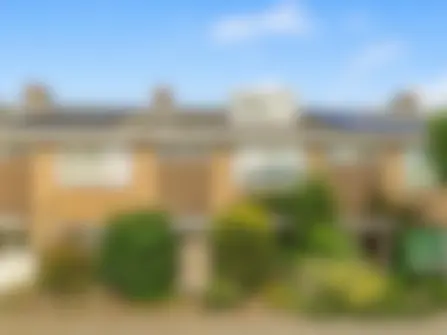 Buwitsacker 21