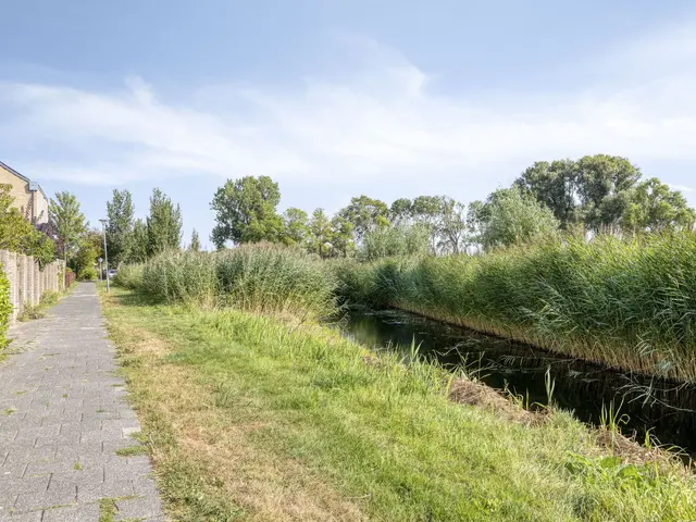 Buwitsacker 21, CASTRICUM