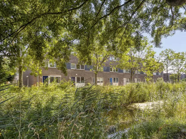 De Spin 32, UITGEEST