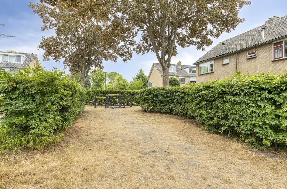 Blankertlaan 5