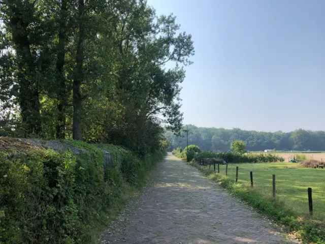 Zanderijweg 13 , CASTRICUM