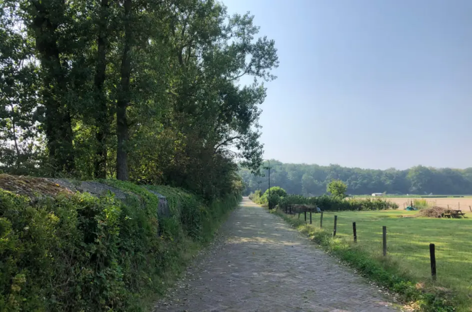 Zanderijweg 13 