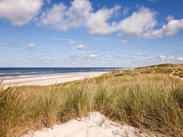Zanderijweg 13 , CASTRICUM