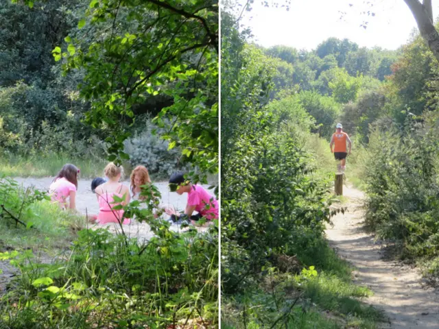 Zanderijweg 14 , CASTRICUM