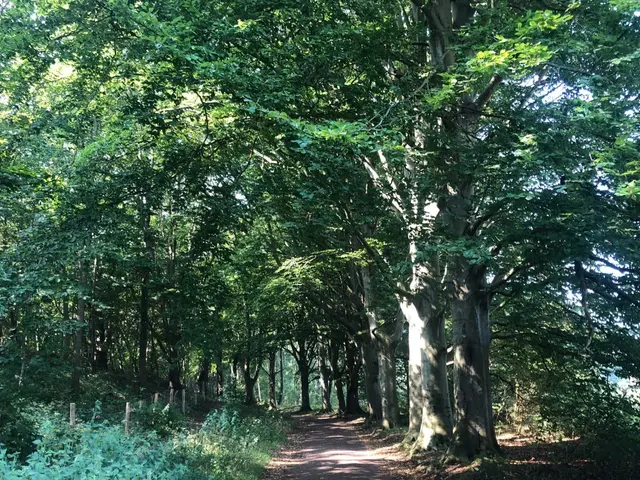 Zanderijweg 14 , CASTRICUM