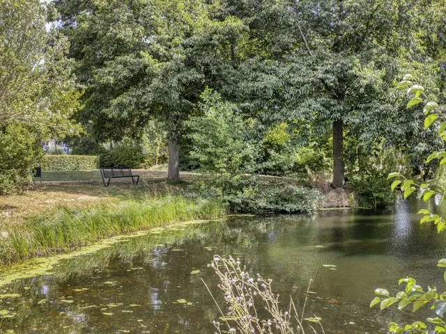 De Waterdief 46, UITGEEST