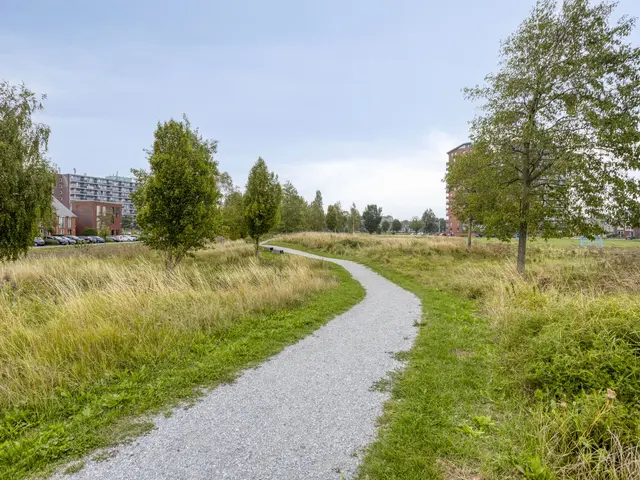 Kadijk 31, HEEMSKERK
