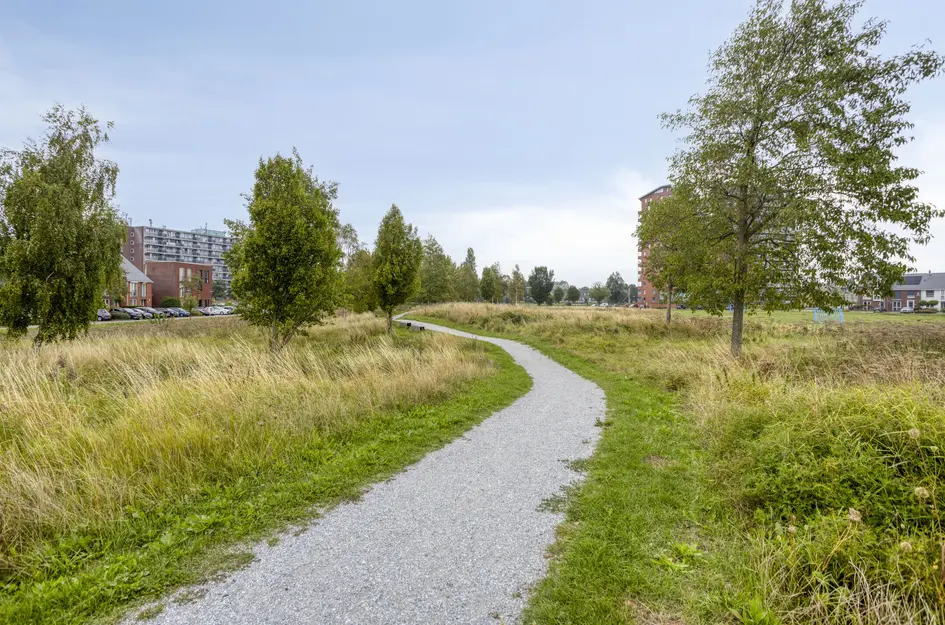 Kadijk 31