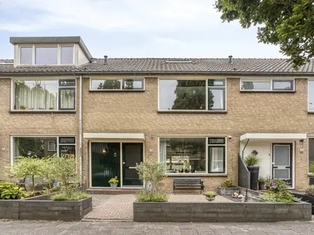 Burg Verstegenstraat 13