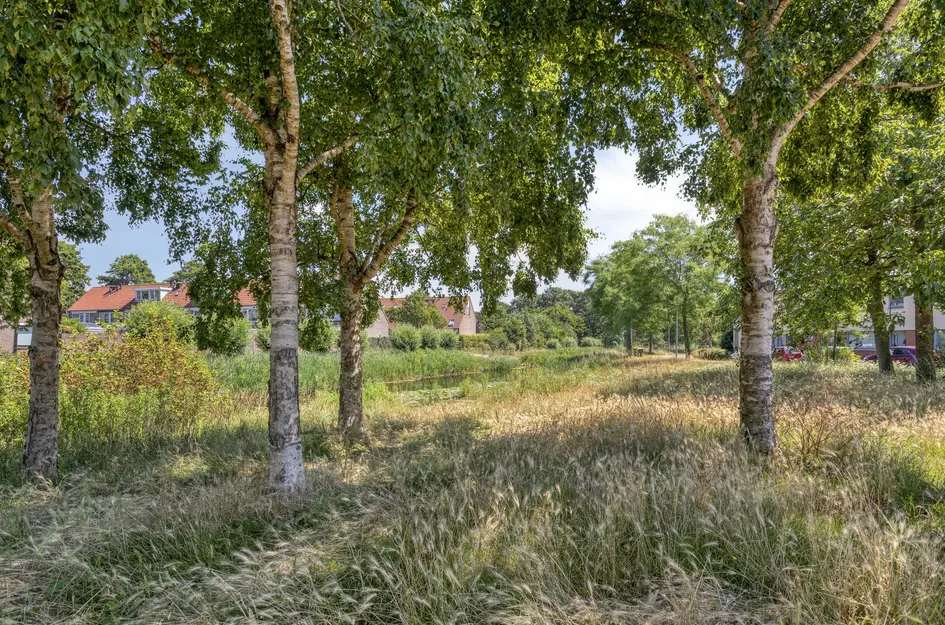 Ronde Laan 38