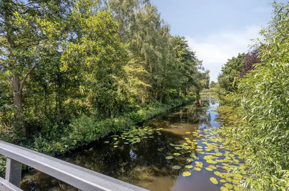 Ronde Laan 38