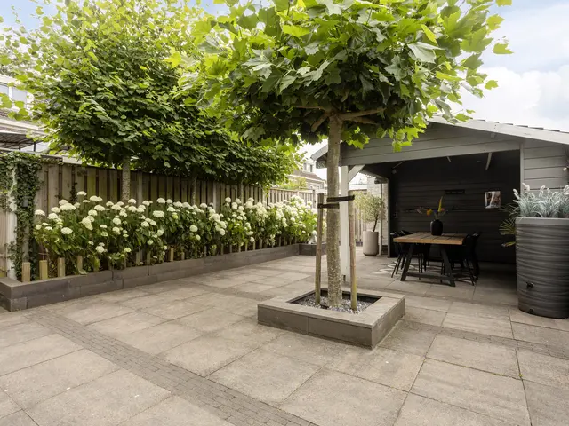 Prof ten Doesschatestraat 313, HEEMSKERK