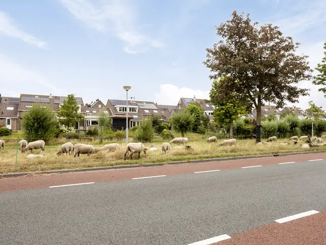 Prof ten Doesschatestraat 313, HEEMSKERK