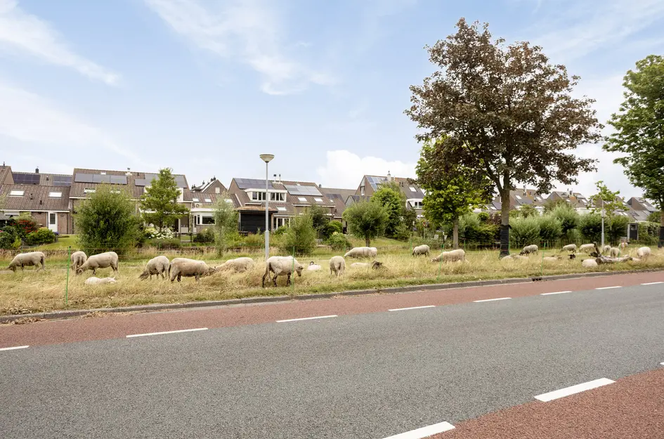 Prof ten Doesschatestraat 313