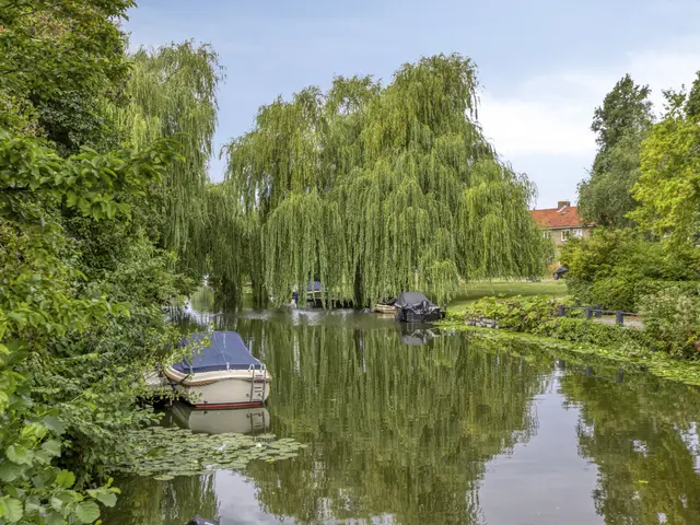 Heilooërdijk 51, ALKMAAR