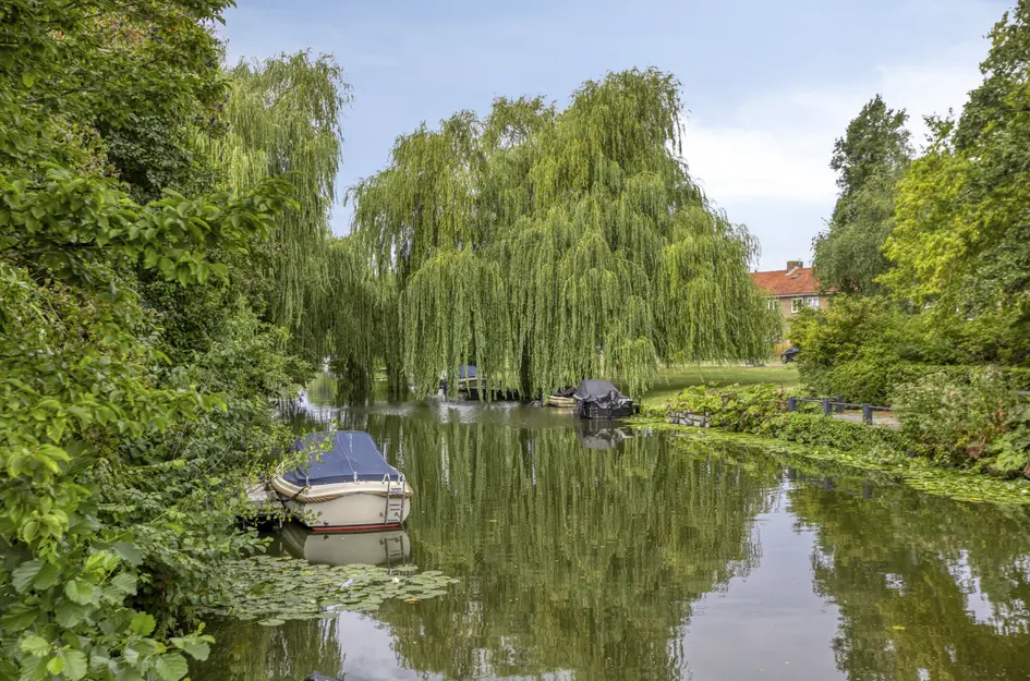 Heilooërdijk 51