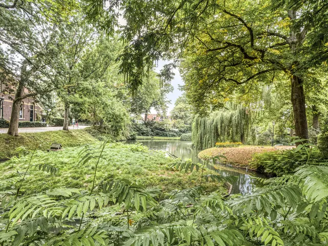 Waaigat 7, ENKHUIZEN