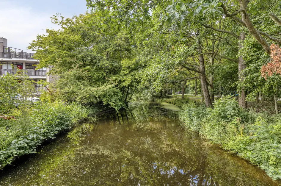 Zeeweg 205
