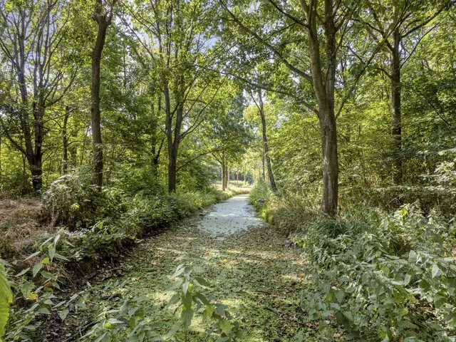 Boswinde 34, HEILOO