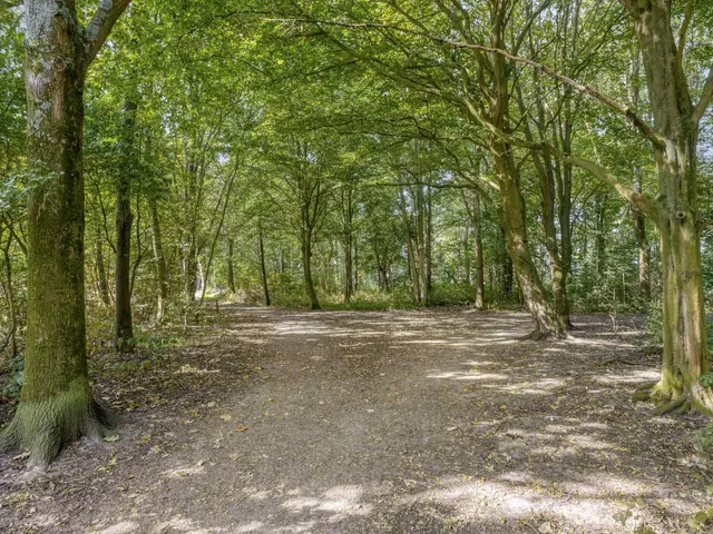 Boswinde 34, HEILOO