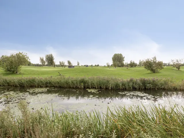 De Boog 80, HEILOO
