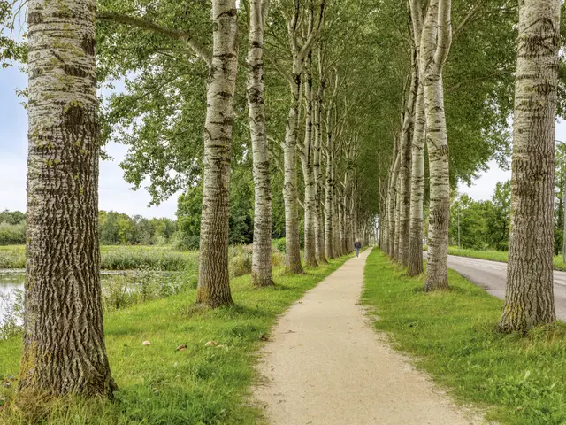 De Boog 80, HEILOO
