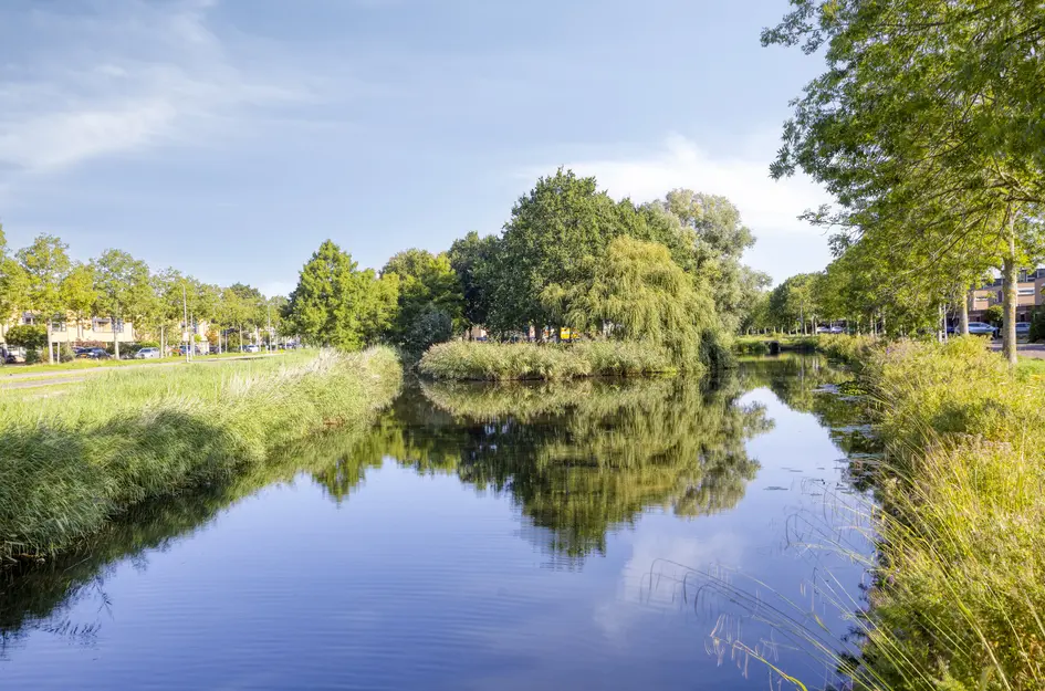 Ypesteinerlaan 87