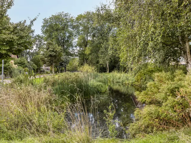 Termijen 103, HEILOO