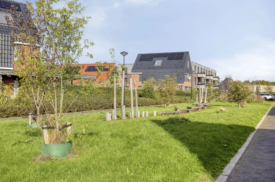 Koolmeesstraat 7