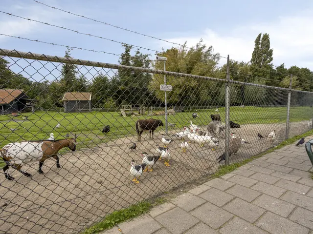 Spoorlaan 21, UITGEEST