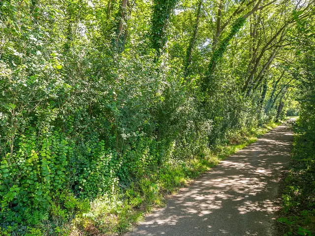 Strengweg 11, HEEMSKERK