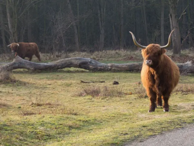 Slingerpad 13, bouwnummer 27 , CASTRICUM