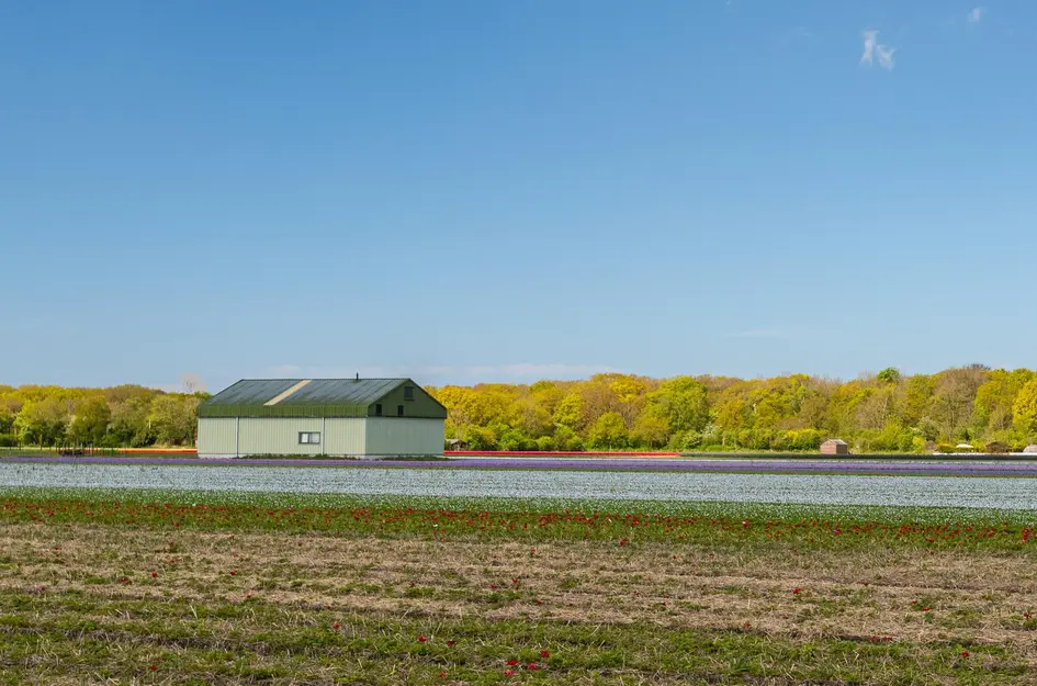 Zanderijweg 16, bouwnummer 20 