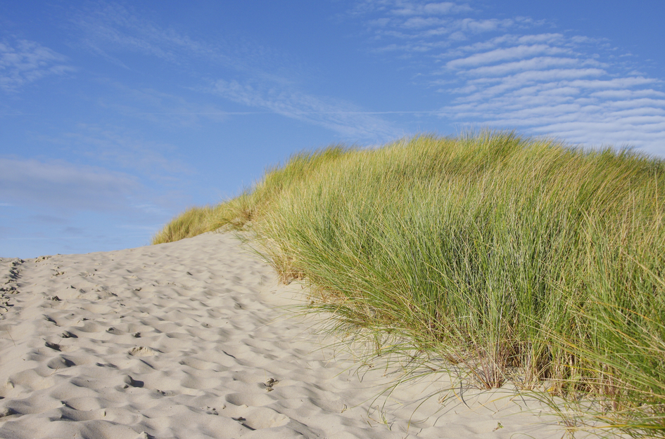 Zanderijweg 18, bouwnummer 22 